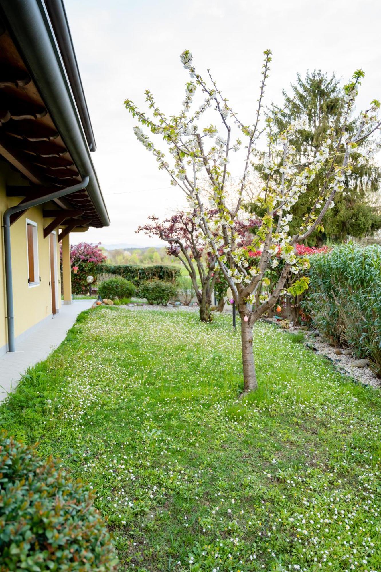Residence Stradella Verde Staranzano Экстерьер фото